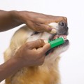 Vet's Best Odontobourtses Daktulou apo Silikoni 5pcs